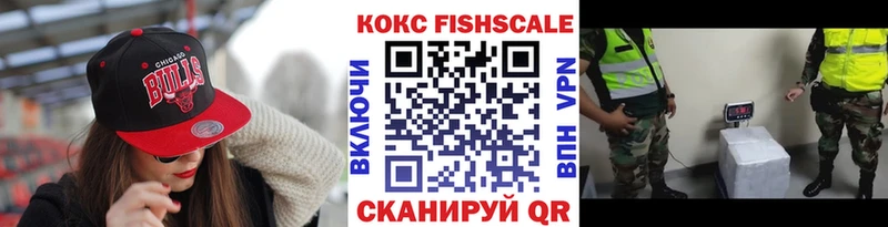 купить наркотик  мега tor  COCAIN Fish Scale  Комсомольск 
