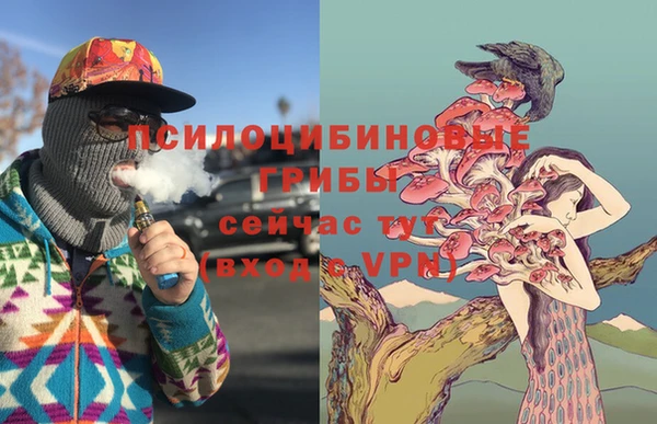 амф Белокуриха