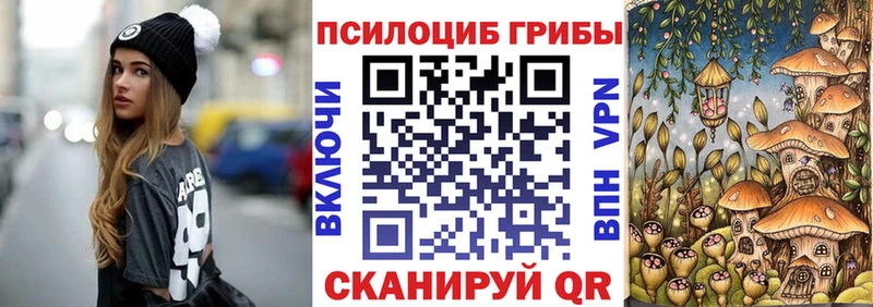 Псилоцибиновые грибы Psilocybine cubensis  Комсомольск 