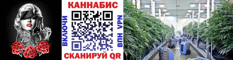 Бошки Шишки LSD WEED  Комсомольск 